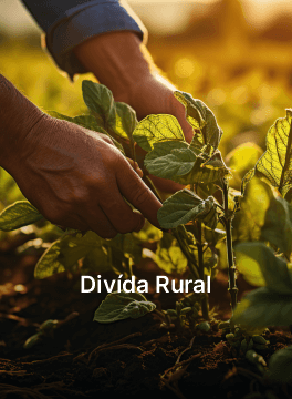 divida-rural